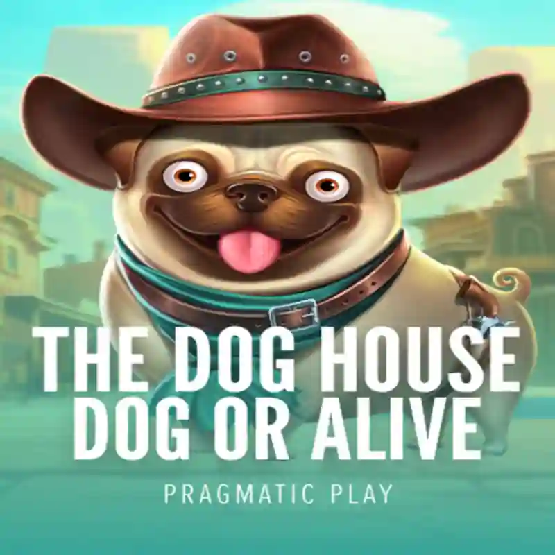 Dog House Dog & Alive slot game - devegas99